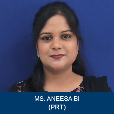 MS-ANEESA-BI-PRT